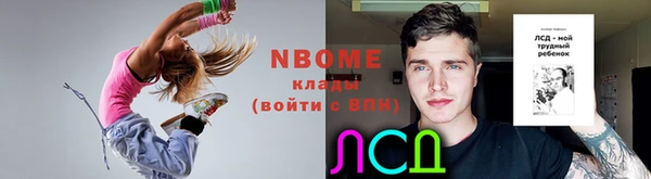 тгк Богданович