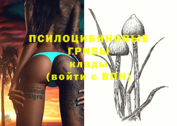 тгк Богданович