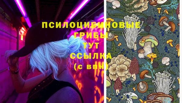 прущие крисы Богородицк